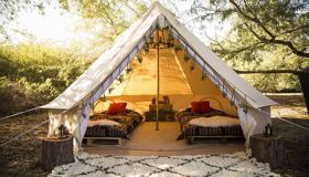 Home for tigers and dreamers